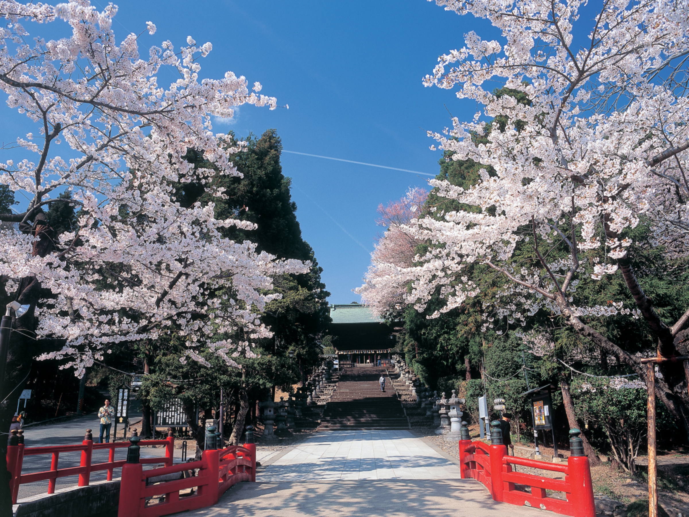 ご挨拶｜仙台市・認可・まんまる保育園斜め向かえの仙台東照宮